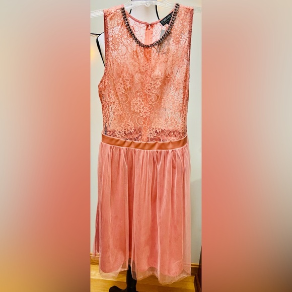 Forever 21 + Plus Sizes Elegant Dusty Pink Lace & Tulle Dress - Picture 4 of 16